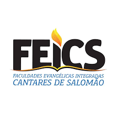 FEICS